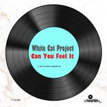 Artwork for "Can You Feel It"