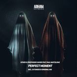 Portada para "Perfect Moment"