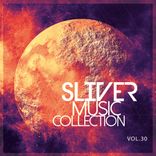 Portada para "SLiVER Music Collection, Vol.30"