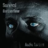 Portada para "Netherflow"