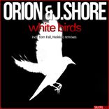Artwork voor "White Birds"