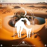 Artwork for "This Is Destiny"