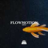 Artwork voor "Flowmotion"