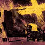 Portada para "Flumox"