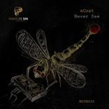 Artwork for "Never See"