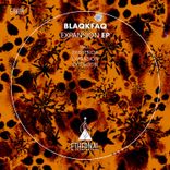 Artwork voor "Expansion"