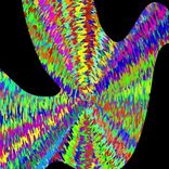 Portada para "Birds"