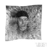 Artwork for "Raptor"