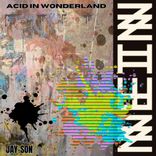 Portada para "Acid In Wonderland"