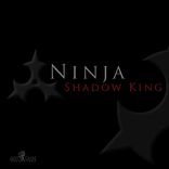 Artwork for "Shadow King"