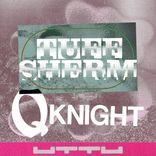 Portada para "Q Knight"