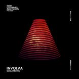 Artwork for "Involva"