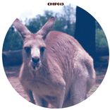 Artwork for "Skippy Ep"