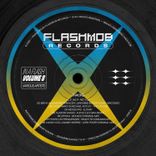 Portada para "In a Flash, Vol. 8"