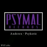 Artwork voor "Psykotic"