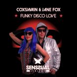 Artwork voor "Funky Disco Love"