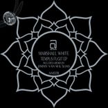 Artwork for "Tempus Fugit EP"