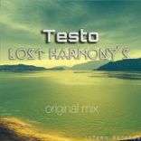 Artwork voor "Lost Harmony's"