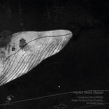 Portada para "Dying Sun Incl. GVERRA, Diego Acosta (UY) & Enzo Paradiso, MT DARK Remix"