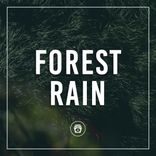 Artwork voor "Forest Rain"