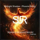 Portada para "Phoenix Rising"