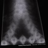 Artwork for "Post Suite/Almost In Profile"