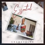 Artwork for "Essentiel"