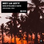 Artwork for "Hey La Leyy"