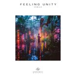 Artwork for "Feeling Unity"
