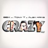 Artwork voor "Crazy"
