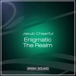 Artwork for "Enigmatic / The Realm"