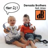 Artwork for "Herr DJ"