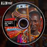 Portada para "You Got the Music"