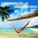 Portada para "Sunshine Blues \ Hawaiian Punch"