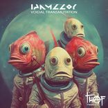 Voidal Transmutation