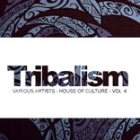 Artwork for "Tribalism, Vol.4: House Of Culture"