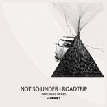 Artwork for "Roadtrip"