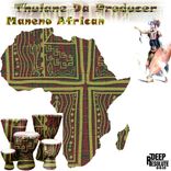 Portada para "Maneno African"
