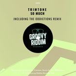 Artwork for "So Much"