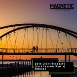 Artwork voor "Floodgate"