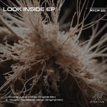Artwork for "Look Inside"