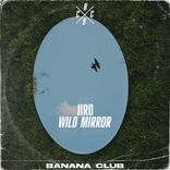 Artwork for "Wild Mirror"