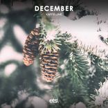 Portada para "December"