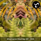 Artwork voor "Shamanic Journey 5"