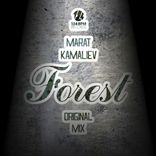 Artwork for "Forest"