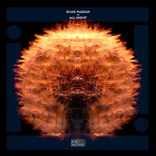 Portada para "All Night (Shanti Celeste Remix)"