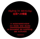 Artwork voor "Return to Origin"