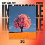 Artwork voor "Invincible"