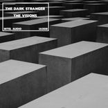 Artwork for "The Visions"