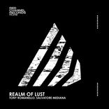 Portada para "Realm of Lust"